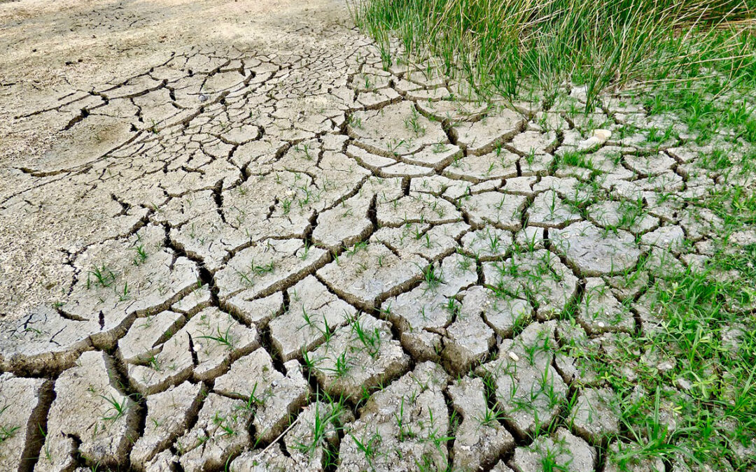 El cambio climático es una realidad