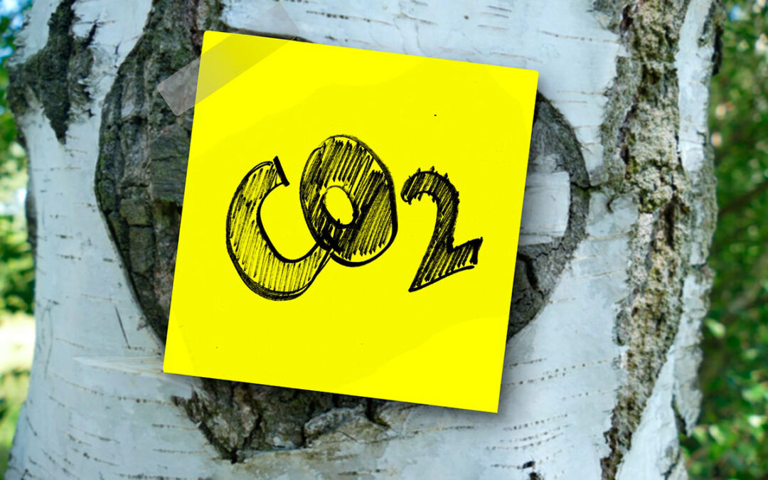 Cómo reducir la huella de carbono de tu empresa